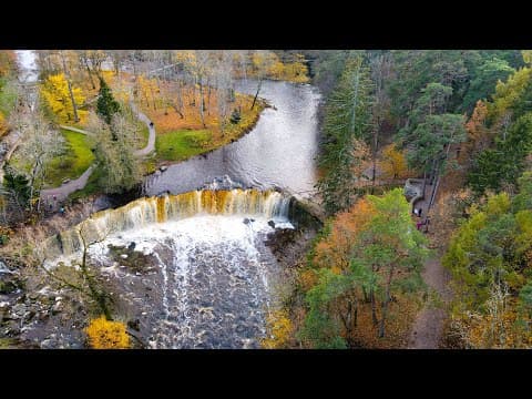 Nature OF Estonia